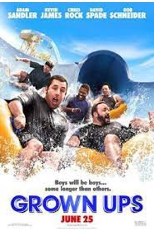 DVD GROWN UPS