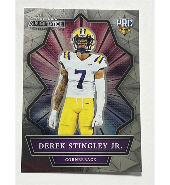 CARD DEREK STINGLEY JR. WILD CARD ANBC-19
