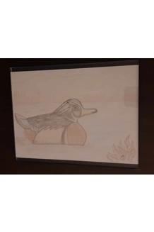 SKETCH DUCK