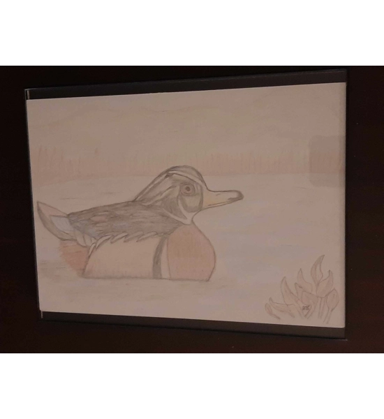 SKETCH DUCK