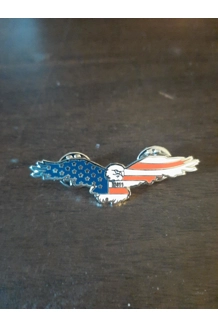 PIN EAGLE MISSING 411