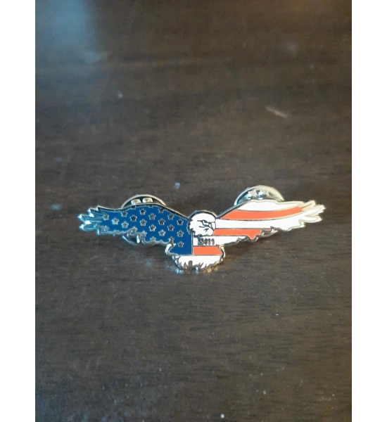PIN EAGLE MISSING 411