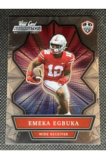 CARD EMEKA EGBUKA WILD CARD ANBC-23