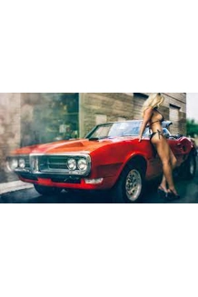 CANVAS FIREBIRD MODEL