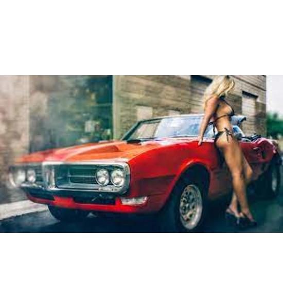 CANVAS FIREBIRD MODEL