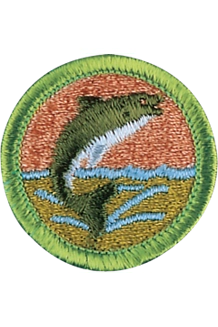 PATCH BSA FISHING