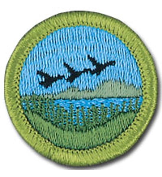 PATCH BSA FISH AND WILDLIFE MANAGEMENT