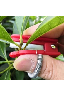 FLOWER CUTTERS