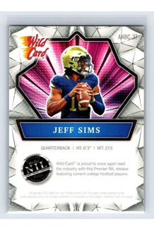 CARD JEFF SIMMS WILD CARD ANBC-37