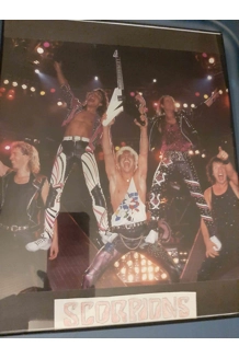 PHOTO SCORPIONS