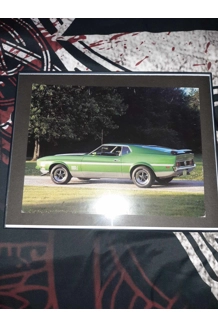 PHOTO MUSTANG GREEN