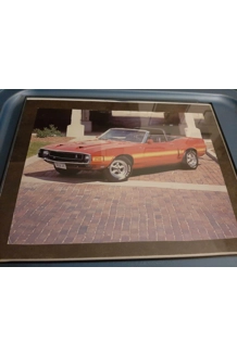PHOTO MUSTANG RED