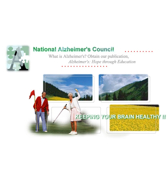 NATIONAL ALZHEIMER'S COUNCIL