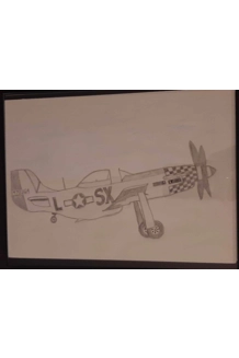 SKETCH P51