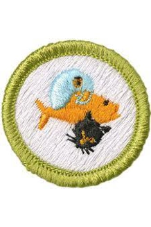 PATCH BSA PETS