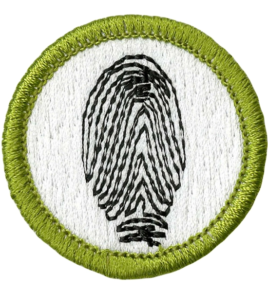 PATCH BSA FINGERPRINTING