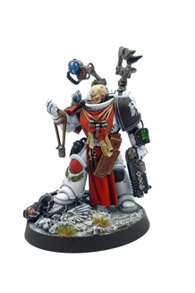 WARHAMMER CUSTOM FIGURINE PRIMARIS APOTHECARY