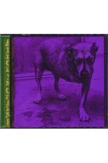 ALICE IN CHAINS ALBUM ALICE IN CHAINS
