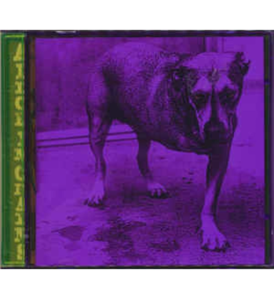 ALICE IN CHAINS ALBUM ALICE IN CHAINS