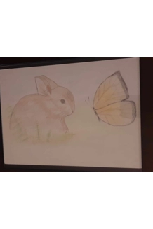 SKETCH RABBIT