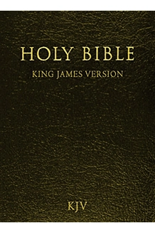 BOOK BIBLE KJV