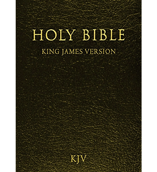BOOK BIBLE KJV