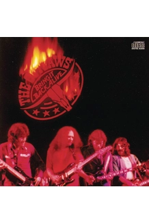 RECORD THE OUTLAWS BRING IT BACK ALIVE