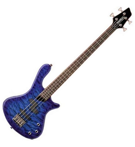 BASS WASHBURN