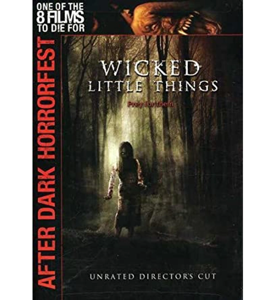 DVD WICKED LITTLE THINGS