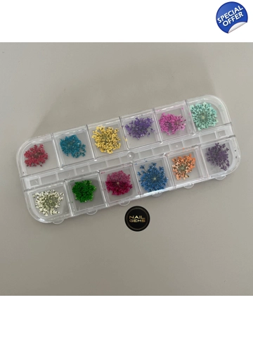 12pc Dried Flower Selection