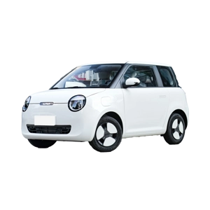 CHANGAN LUMIN 205KM XIANGQIN MODEL