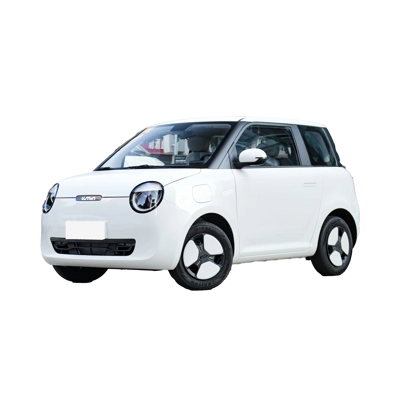 CHANGAN LUMIN 205KM XIANGQIN MODEL