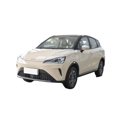 NETA AYA 2023 318 Lite