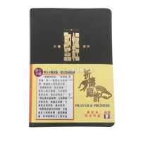 CAT1338 Union Version (Prayer & Promise Extra Large Editio..