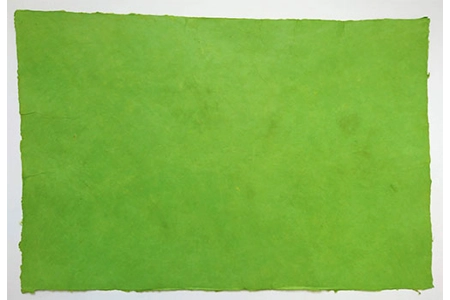 Bamboo Green Bamboo Green