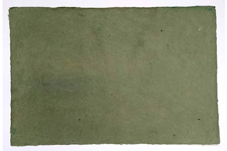 Olive Light Olive Light