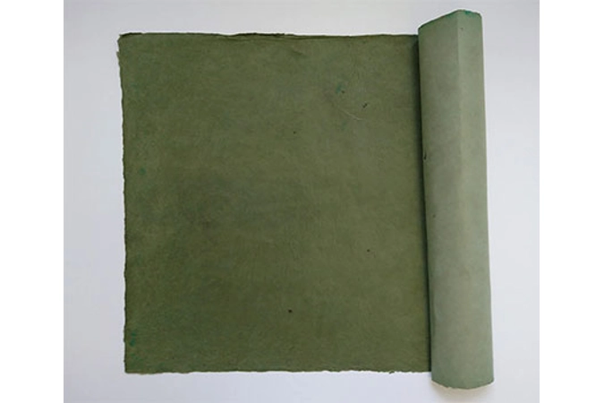 Olive Light Olive Light