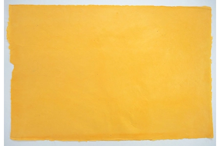 Buttercup Yellow Buttercup Yellow