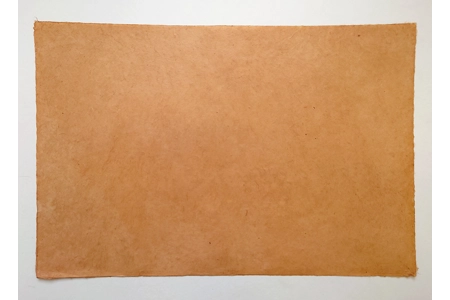 Pomegranate Pomegranate