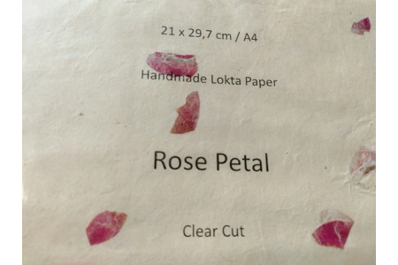 Rose Petal Rose Petal