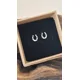 Horse shoe studs