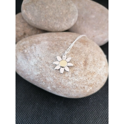 Summer Daisy Summer Daisy