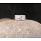 Starfish Band Ring