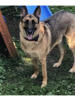 Cancer Cure for Kane- S..