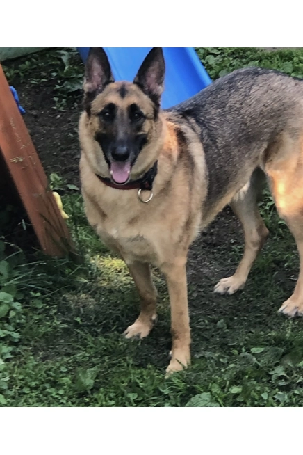 Cancer Cure for Kane- Sat Feb 21 at 5 pm