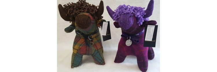 Tweedie Beasties Featured in Daily Record