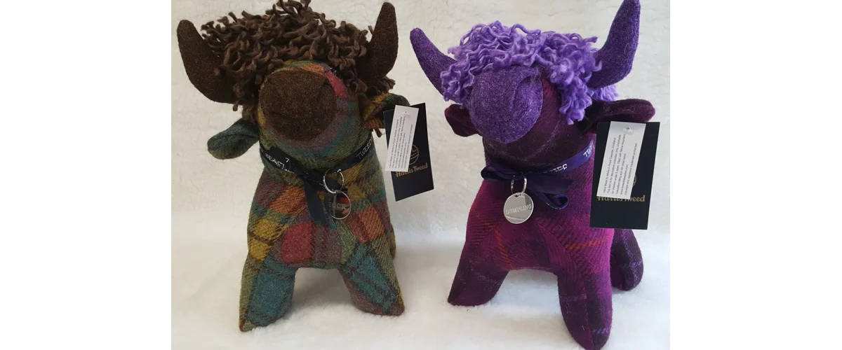 Tweedie Beasties Featured in Daily Record