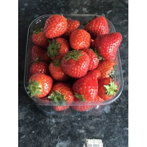 Belgian Strawberries
