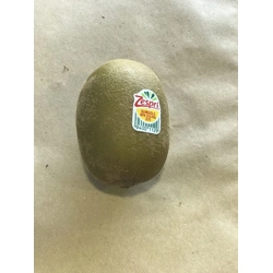 Kiwi New Zealand x1