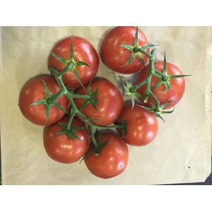 Large Vine Tomatoes 500g